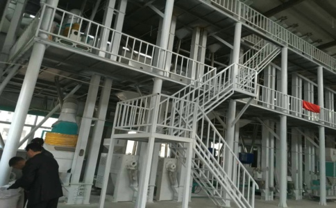 玉米加工機(jī)械采用氣力運輸對生產(chǎn)玉米有哪些好處?(圖1) 玉米加工機(jī)械